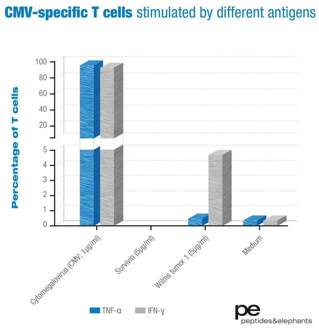 Chart of CMV-specific T-cells stimulated by different antigens