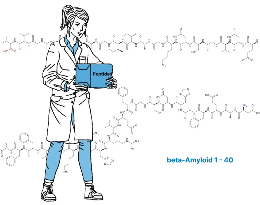 drawing of a scientist holding a box with peptides, structural formula of beta-amyloid 1-40 over two lines in the back