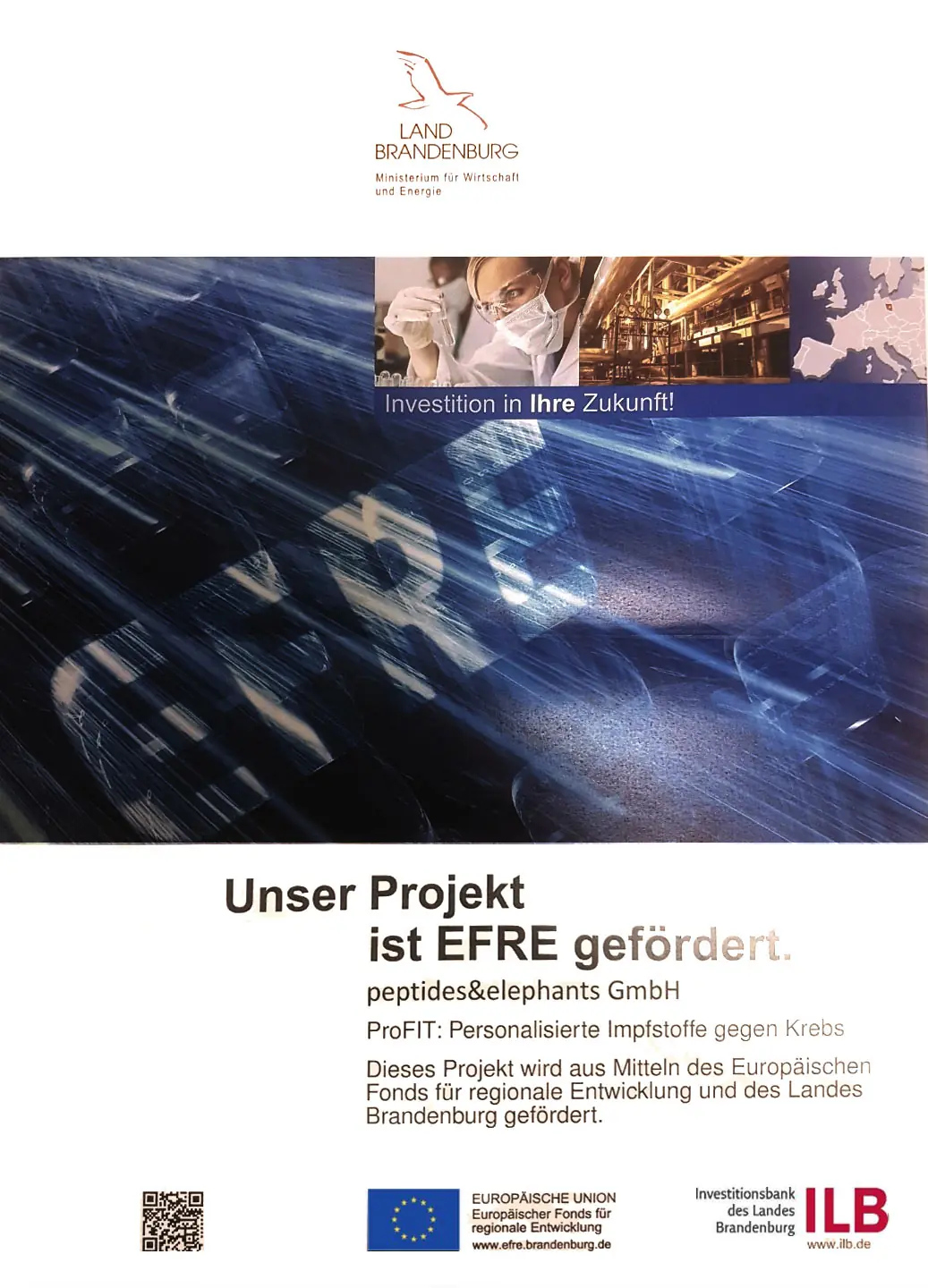 Document header with the logo of Land Brandenburg Ministry of Economy and Energy above a collage of a scientist in a lab, industrial pipes, and a map, followed by text about a project funded by EFRE for personalized cancer vaccines by peptides&elephants G