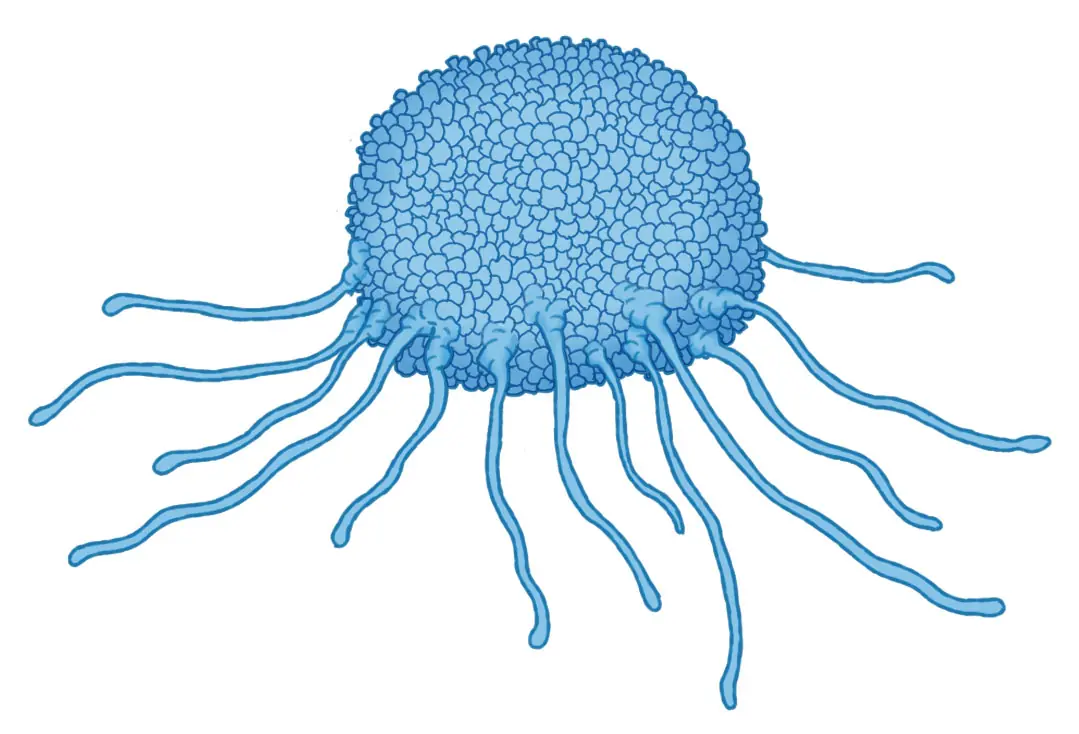 Blue cancer cell with irregular spherical body and multiple long thin extensions