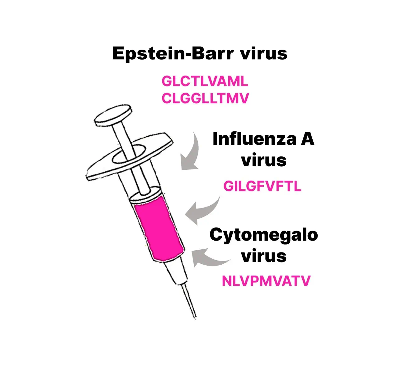 Syringe with pink liquid and arrows pointing to Epstein-Barr virus, Influenza A virus, and Cytomegalo virus each labeled with two peptide sequences