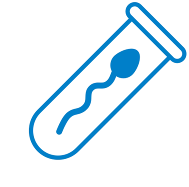 Drawing of a sperm in a tube